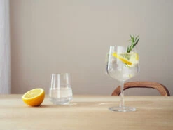 Iittala Essence Gin & Cocktailglas 4-pack -Thuis Benodigdheden Winkel 574599 01 41 EnvironmentImage 2daae4939b